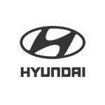 Dealer Development Sr Manager- Hyundai